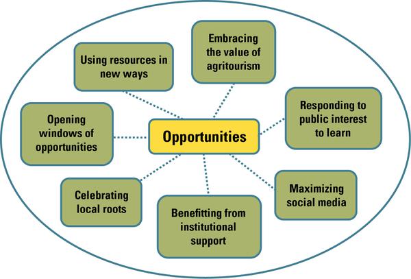 Figure 4. Opportunities for women in agritourism.